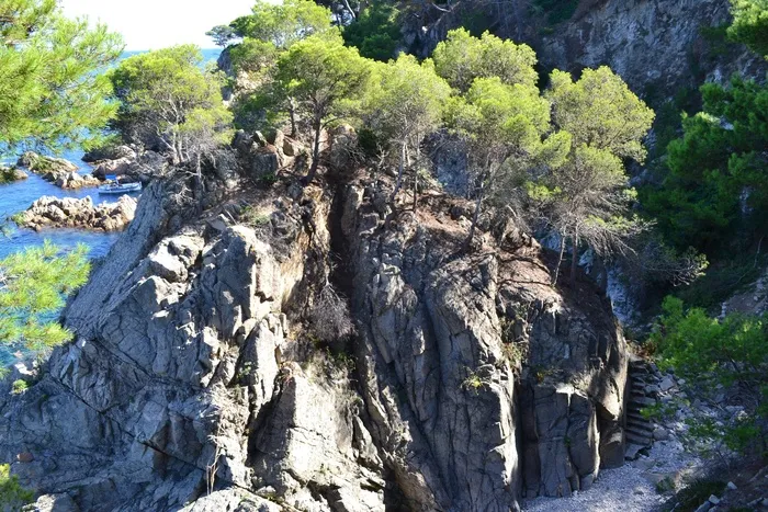 岛，岩，悬崖，松，海，性质，地中海