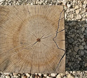 年轮，木头，锯掉，原木，像，方形，裂纹