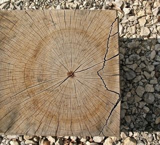 年轮，木头，锯掉，原木，像，方形，裂纹