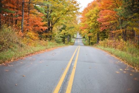 秋，秋天，道路，黄色，性质，叶，橙色