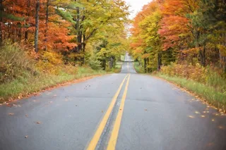 秋，秋天，道路，黄色，性质，叶，橙色