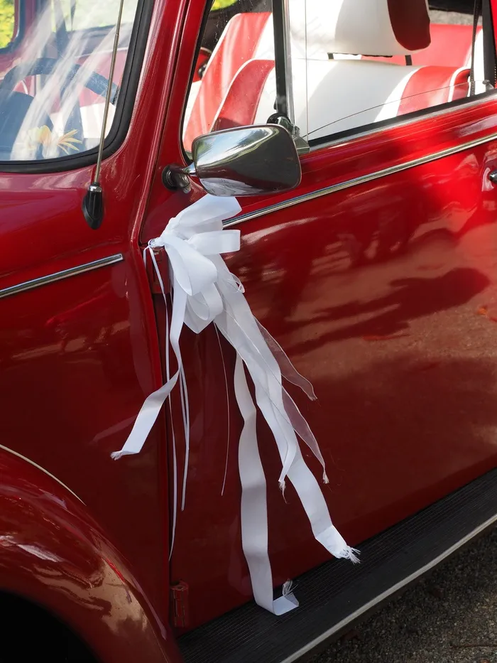 循环，大众甲壳虫，新娘车，汽车，Oldtimer，大众