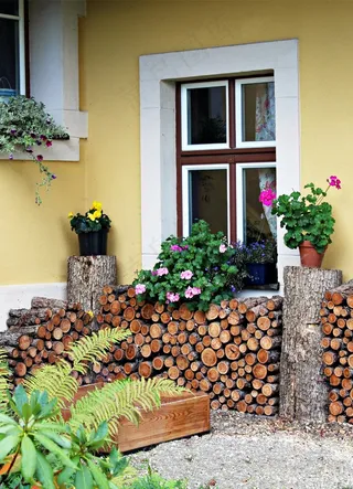 柴火，Holzstapel，成长畜群