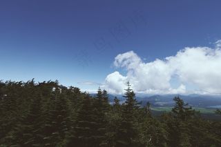 森林，山脉，景观，查看，全景，自然