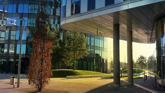 建筑，树，建筑，现代