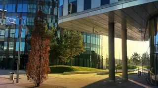 建筑，树，建筑，现代