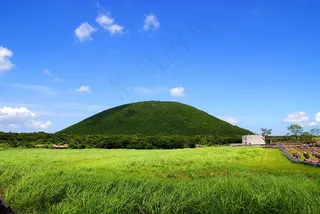 济州，济州岛，提升，针升序