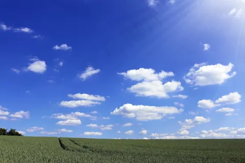 草原,天空,白云,树,,自然天空晴朗云 草原,天空,白云,树,,自然天空晴朗云