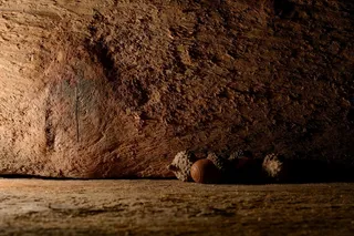 橡子，自然，木材，来临，装饰，圣诞节