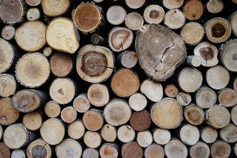 木材，Knar，酒吧，模式，美元，纹理