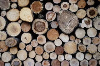 木材，Knar，酒吧，模式，美元，纹理