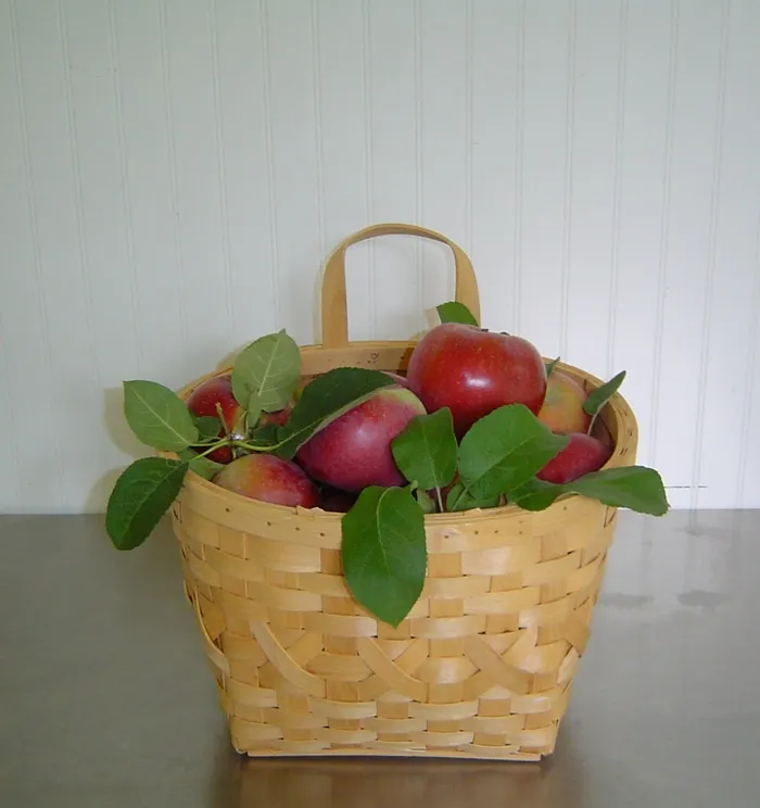 水果，篮，苹果，红色κόκκινοΖωολογία，美味，食品，袋