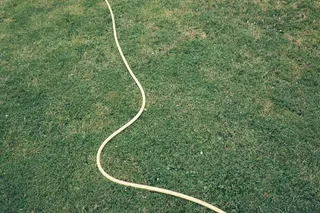 爬行动物,电线,粪类圆线虫,绳子,耳机,在草地上的黄色软管