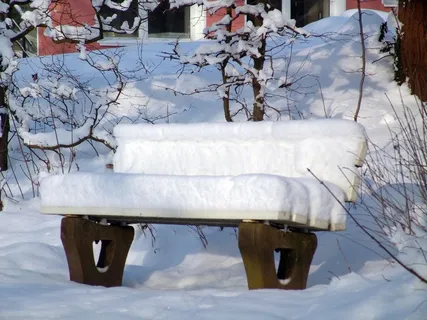 银行,冬季,雪,白雪皑皑,白色,冬季魔术,寒冬 银行,冬季,雪,白雪皑皑,白色,冬季魔术,寒冬
