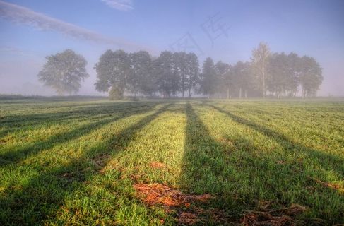 景观，风景，自然，天空，云，绿色，草地