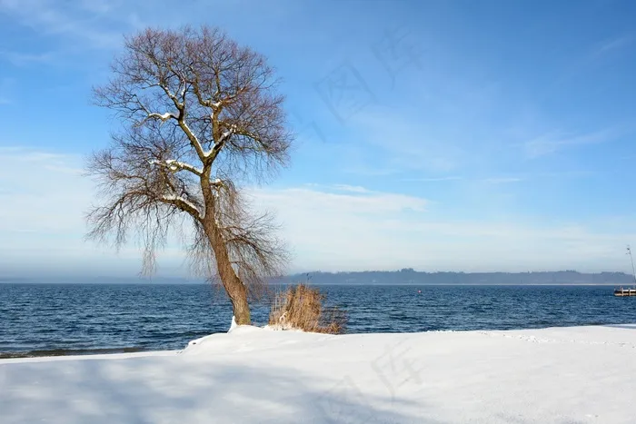 冬天，雪，湖，水域，树，分支机构