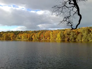 湖，水域，水，景观，森林，自然，树木