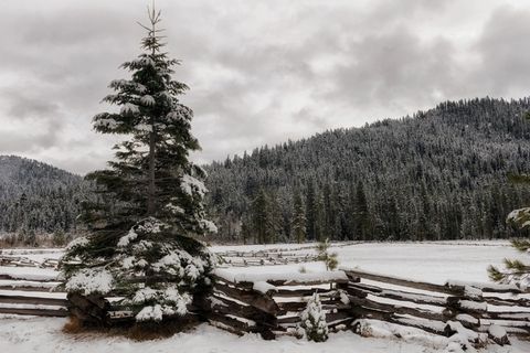 加州,景观,风景名胜,冬天,雪,冰 加州,景观,风景名胜,冬天,雪,冰