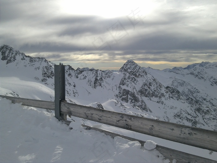 雪，冬天，寒冬，冬季灌木，白