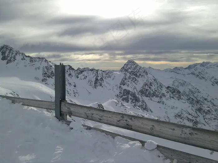 雪，冬天，寒冬，冬季灌木，白