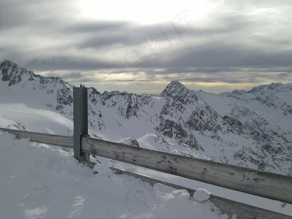 雪，冬天，寒冬，冬季灌木，白