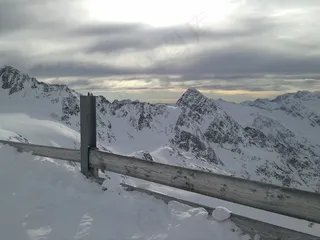 雪，冬天，寒冬，冬季灌木，白