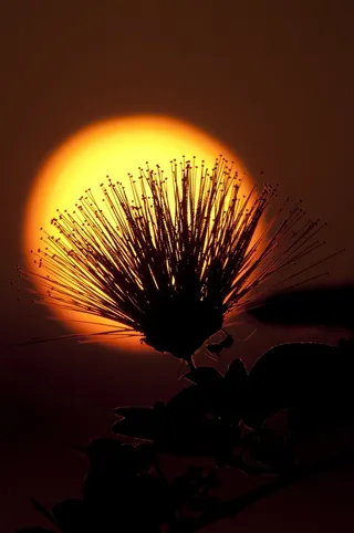 太阳，日落，天空，日出，夏天，阳光，风景