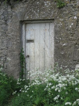 爱尔兰，门，墙，建筑，房子，老，入口