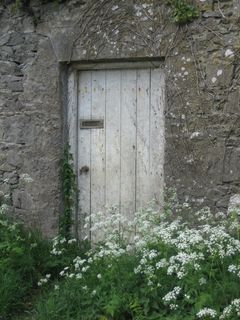 爱尔兰,门,墙,建筑,房子,老,入口 爱尔兰,门,墙,建筑,房子,老,入口