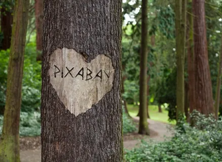 Pixabay上的免费图片，字体，徽标，文本，心，树，绿色，符号