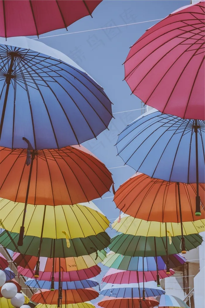 雨伞，颜色，颜色，彩虹，阳光明媚