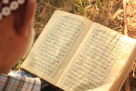 *》，亚辛，公墓，阅读