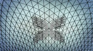 图形，图案，机翼，艺术，背景，纹身