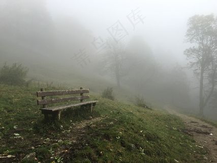 休息，银行，森林，自然，坐，徒步旅行，森林路径
