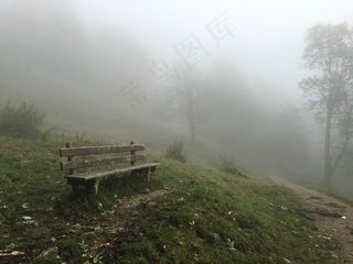 休息，银行，森林，自然，坐，徒步旅行，森林路径