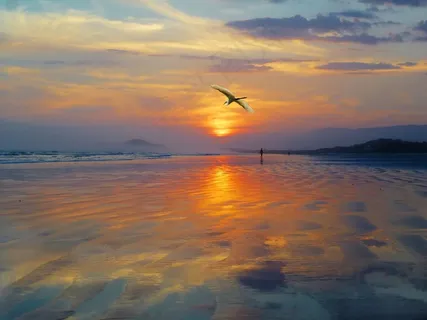 西方，日落，Sol，风景，反对光，自然