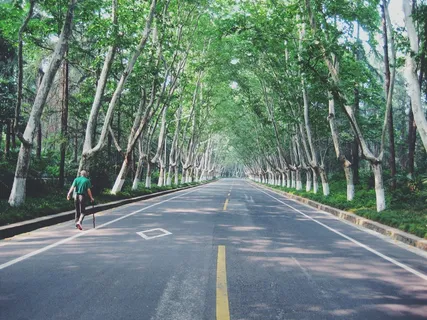 街,胡同,树木,衬砌,道路,沥青,人 街,胡同,树木,衬砌,道路,沥青,人