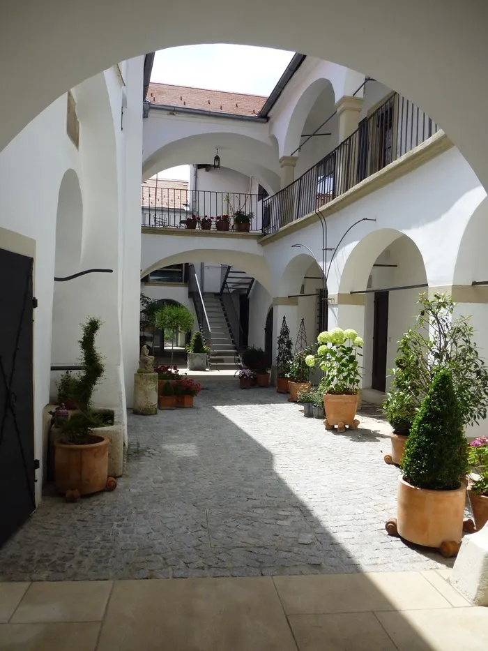 院子里，房子，松树，白，门面