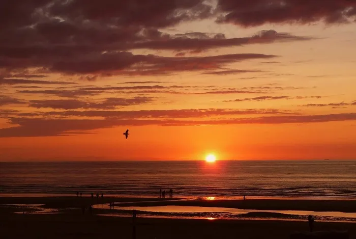 海，海滩，水，波，太阳，日落，Abendstimmung