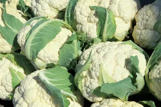 花椰菜，头，农业，成熟，收获，白