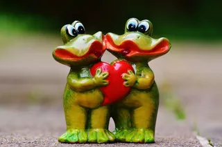 青蛙，对，可笑，爱，心，青蛙，无花果，动物，乐趣