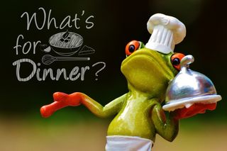 青蛙，烹饪，吃，厨房，美食，食品，制备