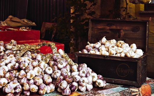 吸血鬼不受欢迎