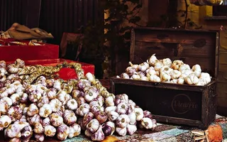 吸血鬼不受欢迎