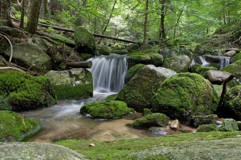 瀑布,水,绿色,森林,树,自然,森林 瀑布,水,绿色,森林,树,自然,森林