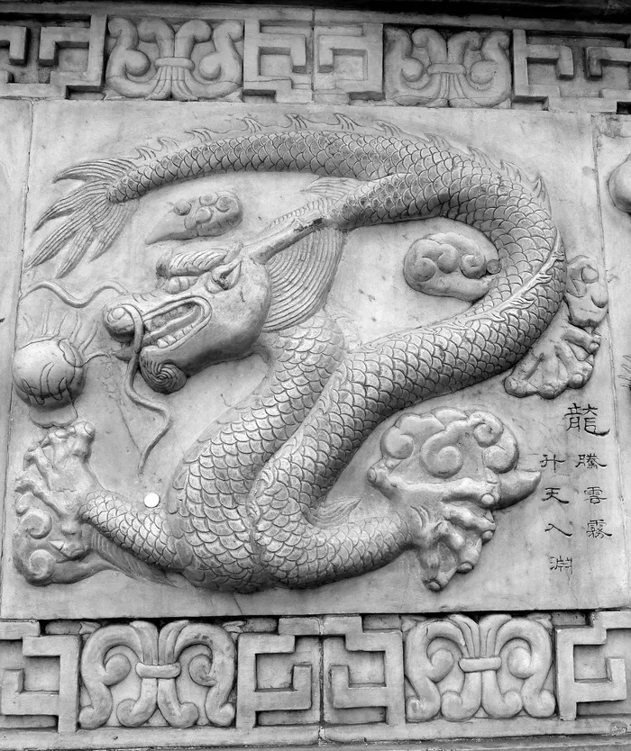 陈，龙，中文，符号，亚洲，道教，中国