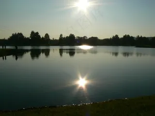 池塘，太阳，水，日落