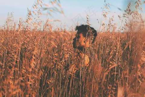 时髦，小麦，大麦，场，生活，现场