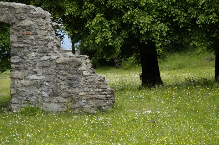 夏天，城堡，废墟，中世纪，Hohentwiel，Hegau