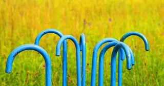 手杖，把手，拐杖把手，地板